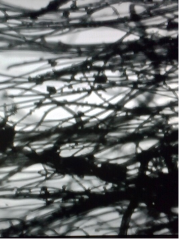 PP Melt Blown Carbon Filter Cartridge Production Line